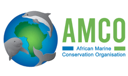 African Marine Conservation Organization (AMCO)
